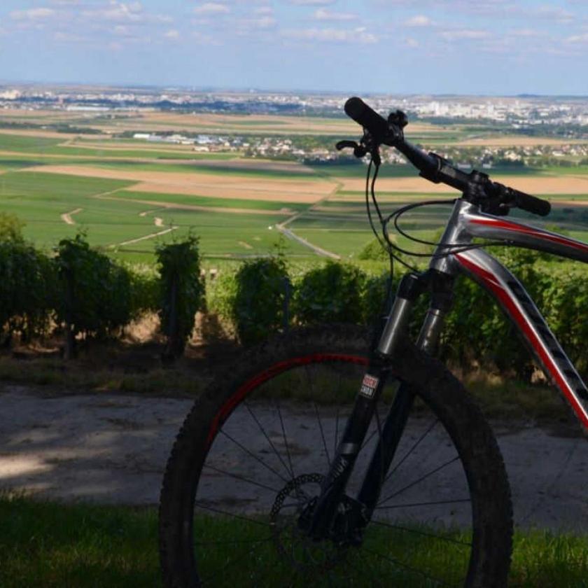 Gite Saint Martin Pargny-les-Reims Εξωτερικό φωτογραφία